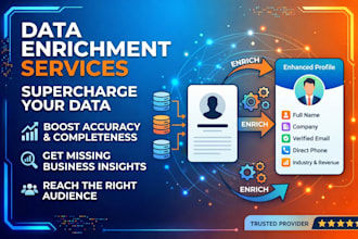 do professional data enrichment, lead enrichment