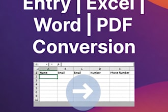 do accurate data entry, copy paste, excel and word work, PDF conversion