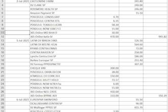 clean data and make pivot table