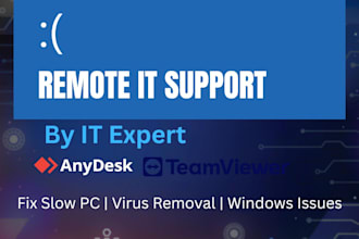 provide professional remote IT support for any PC or laptop issue