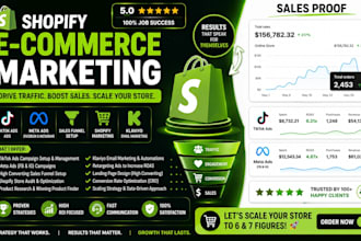 manage shopify marketing klaviyo email and meta ads for your store sales boost