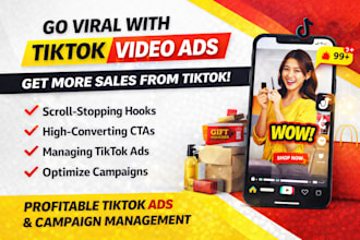 create viral tiktok video ads and manage tiktok ads for sales