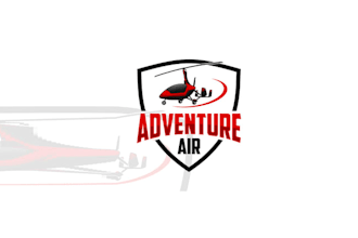 design classic unique aviation company logo