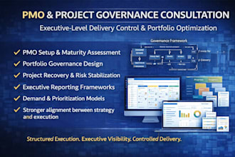 provide professional pmo and project management consultation