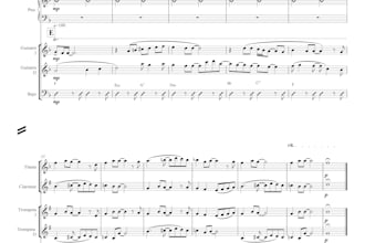 professionaly transpose your music scores