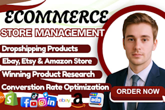do ecommerce store management for etsy ebay amazon tik tok shop shopify manager