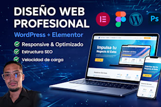 diseño de página web profesional, responsive, optimado en wordpress