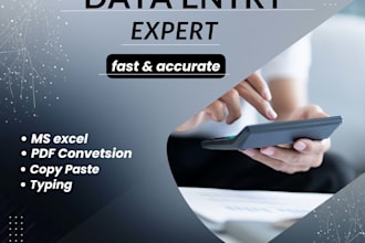 do accurate data entry, excel work, copy paste and pdf conversion
