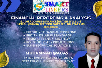 create professional financial reports and financial analysis