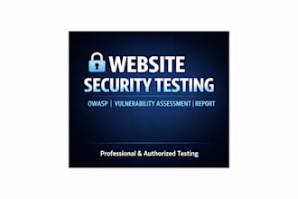 perform manual web penetration testing and security audit