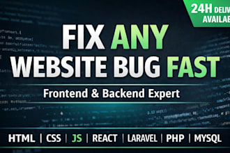 fix website bugs professionally in 24h