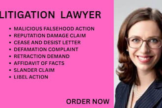 draft defamation pleadings, manage  libel, slander and reputation dispute cases