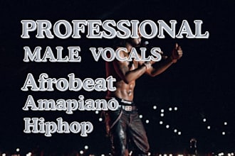 compose and produce amapiano, afrohouse, afrobeat, hip hop, any genre beatmaker