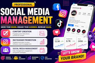 be your social media marketing manager and content creator