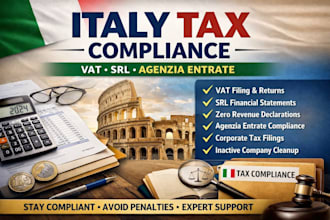 handle italy tax compliance, vat filing, srl financial statement agenzia entrate