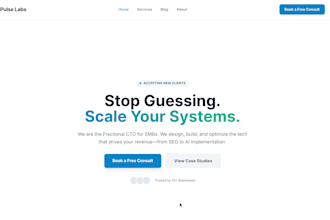 develop custom web application and business application