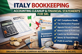 do italy bookkeeping, accounting cleanup and financial statements for srl