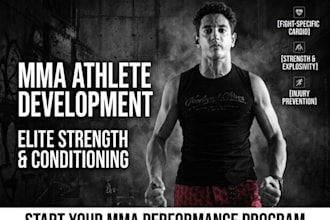 create a professional conditioning and fight fitness program