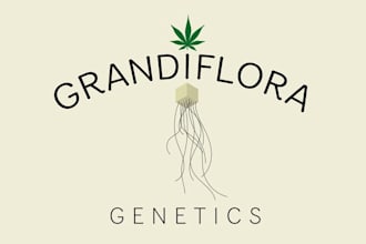 do a attractive logo for a medical cannabis breeding company