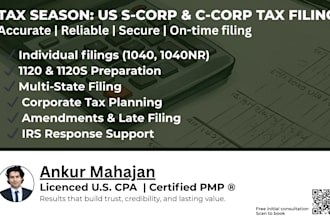do your us taxation filings via efile c corp s corp partnerships and individual