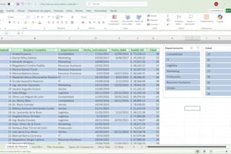 con total precisión cualquier trabajo de excel y data entry