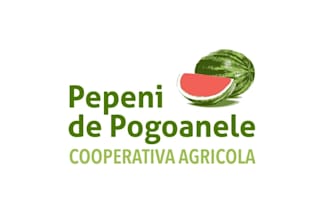 create perfect super logo for new agriculture venture