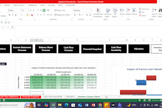 develop a detailed financial model showing valuation, sensitivity and forecasts