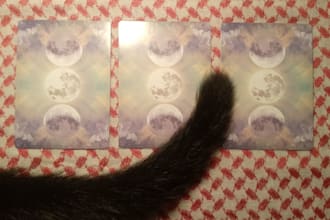 read tarot and oracle cards for you
