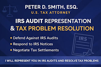 represent you in irs audits and resolve tax problems