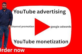 youtube advertising expert for promotion more monetization