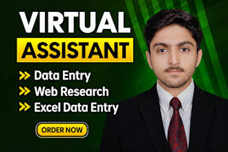 do excel data cleaning, data formatting and file organization