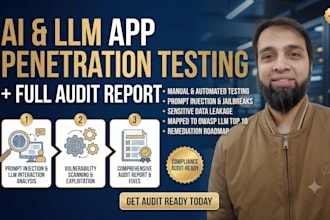 perform an ai and llm application penetration test with report