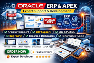 design and support oracle erp and apex apps