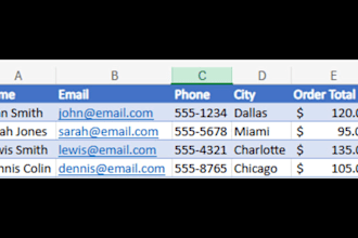 organize your data into a spreadsheet