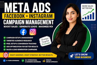 setup and manage high converting facebook ads campaigns