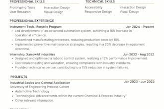 design a professional resume and CV writing service