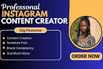 be your instagram manager and content creator for growth