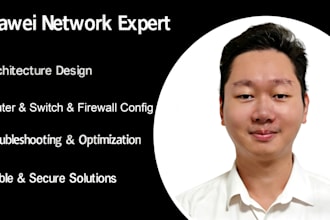 become huawei network engineer design network architecture and debugging