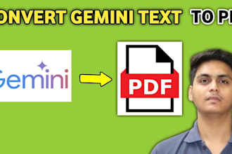 save the gemini messages as a PDF file