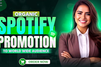 professional spotify music promotion