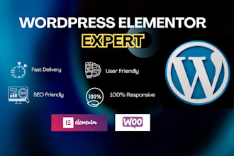 design a professional wordpress e commerce website or online store