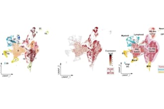 analyze scrna seq, spatial transcriptomics, and ngs data