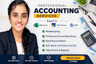 do professional excel data entry accounting and tally work