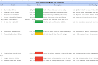 build a rolling cash flow and 13 week liquidity model