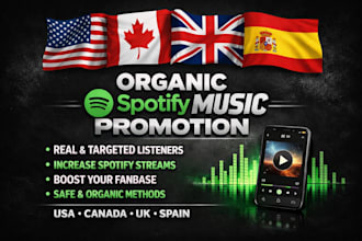 run targeted organic spotify music promotion via digital ads