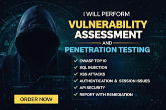 web application penetration testing and vulnerability assessment
