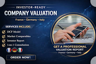 prepare investor ready company valuation report for germany france italy