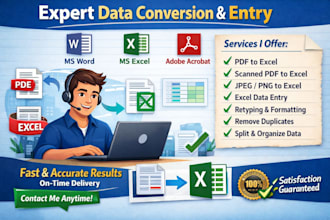 data entry, PDF to excel or word conversion,