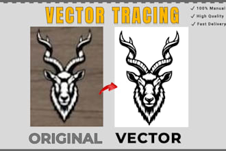 vector tracing, convert image to vector file, vector logo, vectorize image