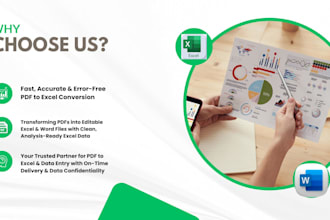 convert PDF to excel with data entry and excel cleaning